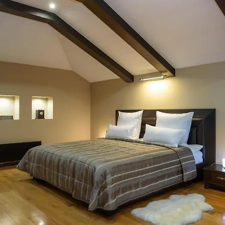 лион Хотел 4*