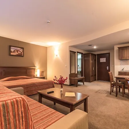 Hotel Lion